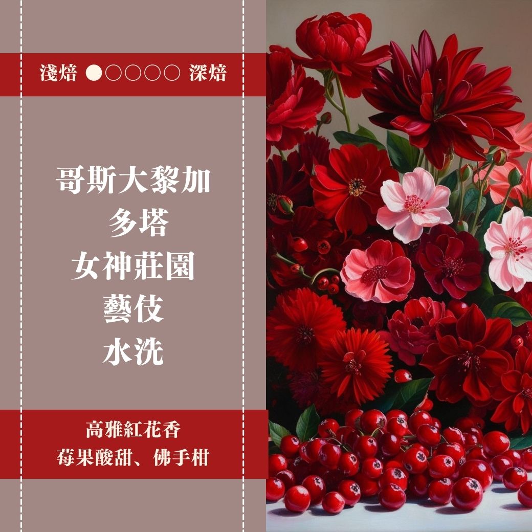 哥斯大黎加。多塔。女神莊園。藝伎。酵素水洗