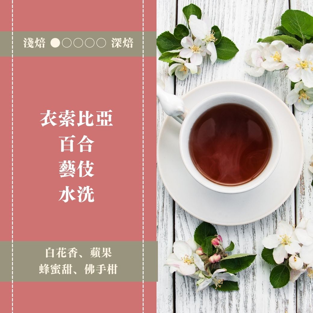 衣索比亞。百合。藝伎。水洗